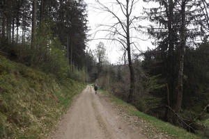 GR 56 entre Honsfeld et Hepscheid