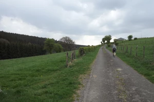 GR 56 entre Honsfeld et Hepscheid