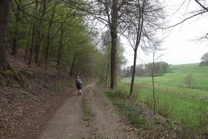 GR 56 entre Hepscheid et Heppenbach