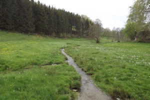 GR 56 entre Hepscheid et Heppenbach