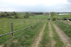GR 56 entre Heppenbach et Amel