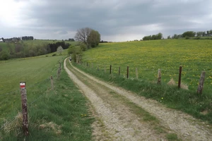 GR 56 entre Heppenbach et Amel