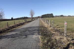 GR 56 entre Honsfeld et Hepscheid