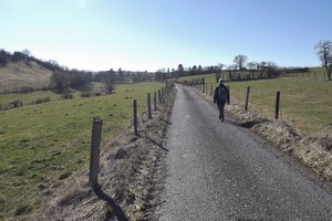 GR 56 entre Heppenbach et Amel