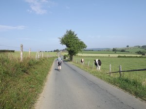 GR 56 entre Amel et Montenau