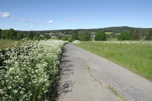 GR 56 entre Amel et Montenau