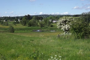 GR 56 entre Amel et Montenau