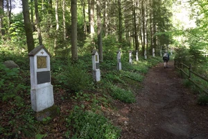 GR 56 entre Montenau et Ondenval