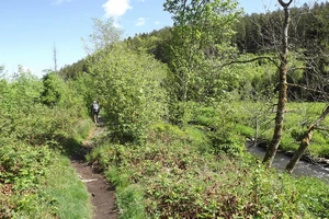 GR 56 entre Montenau et Ondenval