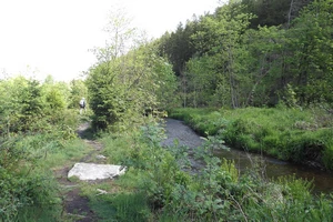 GR 56 entre Montenau et Ondenval