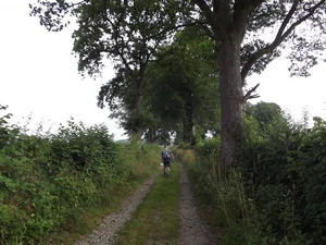 GR 56 entre Montenau et Ondenval
