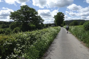 GR 56 entre Ondenval et Ligneuville
