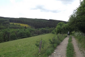 GR 56 entre Ondenval et Ligneuville