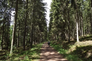 GR 56 entre Ondenval et Ligneuville