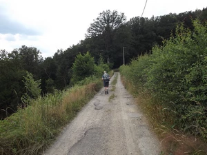 GR 56 entre Ligneuville et Pont