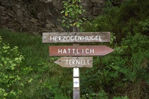 GR 573 entre Eupen et le signal de Botrange, Herzogenhugel