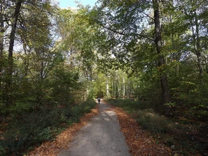 GRP 573 entre Mangombroux et Hevremont, bois de Hèvremont