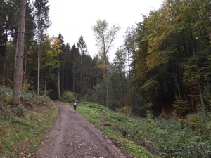 GRP 573 entre Theux et Banneux