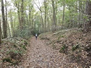 GRP 573 entre Banneux et Fraipont