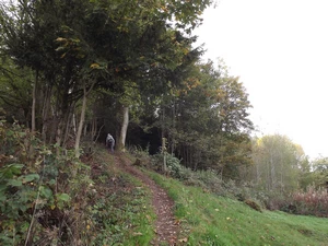 GRP 573 entre Fraipont et Aux Bruyères d'Andoumont