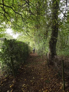 GRP 573 entre Fraipont et Aux Bruyères d'Andoumont