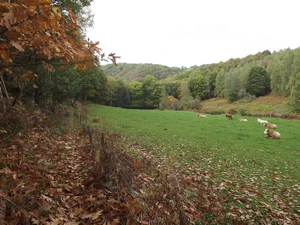 GRP 573 entre Aux Bruyères d'Andoumont et Trooz (Au Thier)