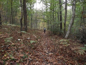 GRP 573 entre Aux Bruyères d'Andoumont et Trooz (Au Thier)