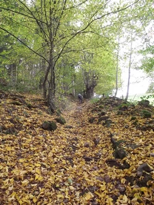 GRP 573 entre Aux Bruyères d'Andoumont et Trooz (Au Thier)