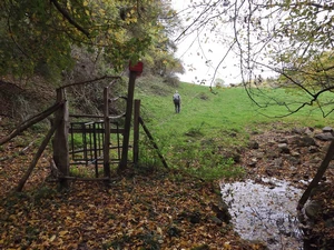 GRP 573 entre Aux Bruyères d'Andoumont et Trooz (Au Thier)