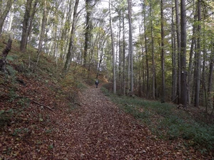 GRP 573 entre Trooz (Au Thier) et Chaudfontaine