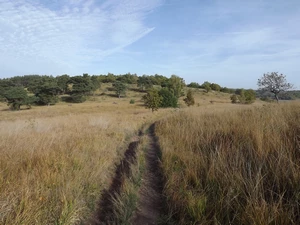 Chaudfontaine, Bois les Dames