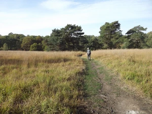 Chaudfontaine, Bois les Dames