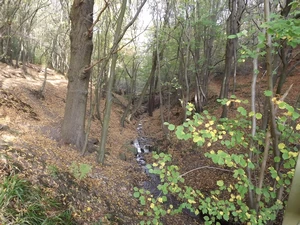 Chaudfontaine, ruisseau de Lovegné