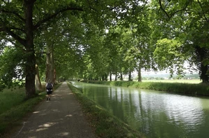 GR 65 entre Malause et Pommevic, canal latérale à la Garonne