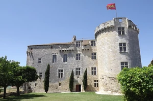 GR 65 : château de Flamarens