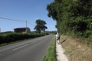 GR 65 entre Pimbo et Arzacq-Arraziguet