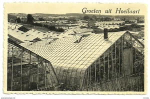 Hoeilaart, Druivenstreek
