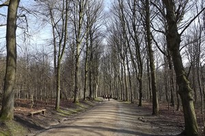 Streek-GR Groene Gordel : arboretum de Tervuren