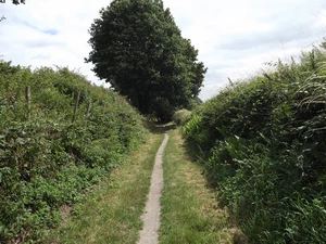 Streek-GR Hageland entre Louvain et Bierbeek