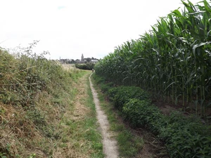 Streek-GR Hageland entre Louvain et Bierbeek