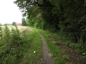 Streek-GR Hageland entre Bierbeek et Bremt