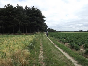 Streek-GR Hageland entre Bierbeek et Bremt