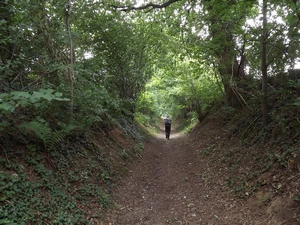 Streek-GR Hageland entre Bierbeek et Bremt