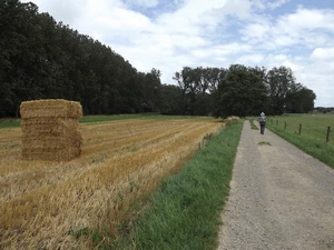Streek-GR Hageland entre Bremt et Vertrijk