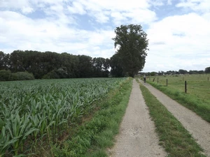 Streek-GR Hageland entre Bremt et Vertrijk