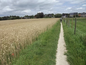 Streek-GR Hageland entre Bremt et Vertrijk