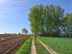 Streek-GR Hageland entre Vertrijk et Hoksem