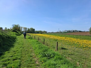 Streek-GR Hageland entre Vertrijk et Hoksem