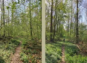 Streek-GR Hageland entre Vertrijk et Hoksem