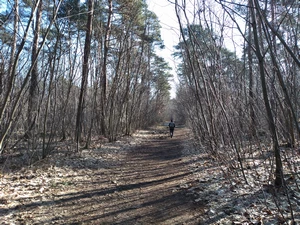 Streek-GR Limburgse Mijnen entre le parking Salamandre et la gare d'Eisden